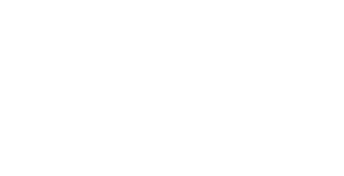 Puja Divine Logo - Online Temple Services